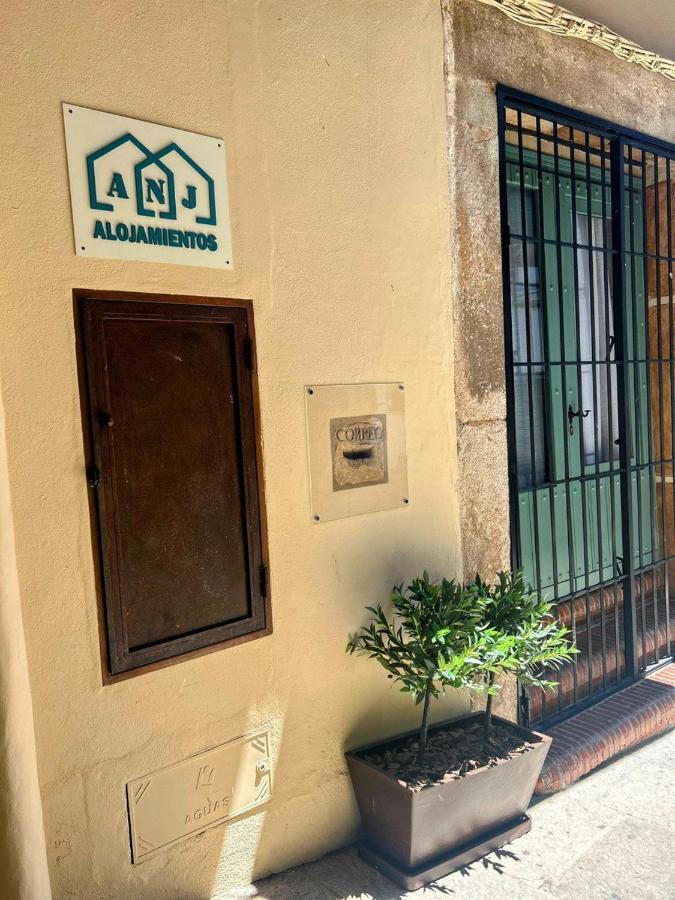 Anj Estudio Templete Guadalupe  Bagian luar foto